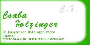 csaba holzinger business card